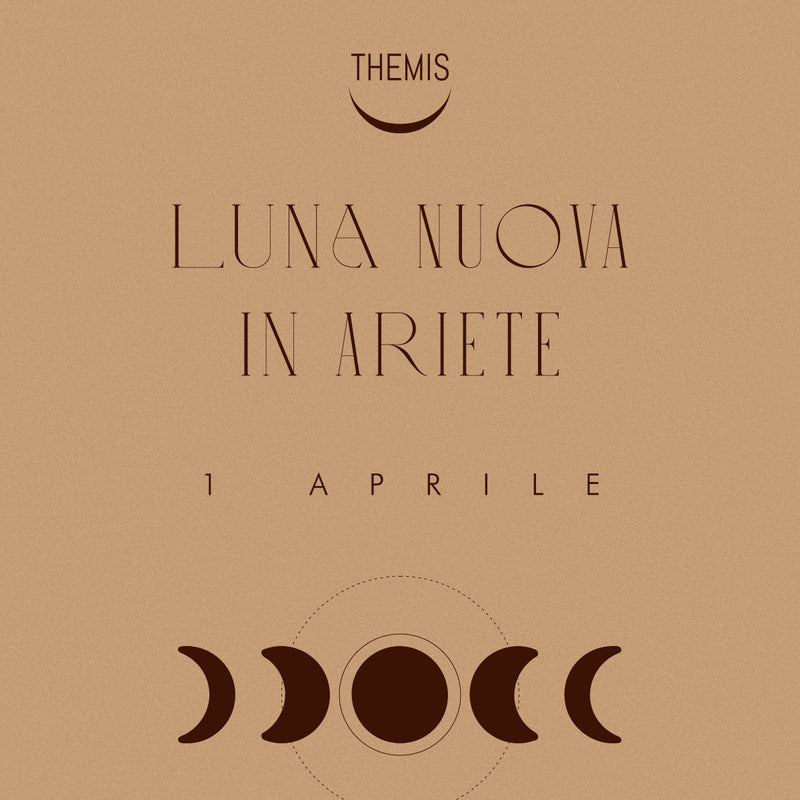 NEW MOON in ARIES