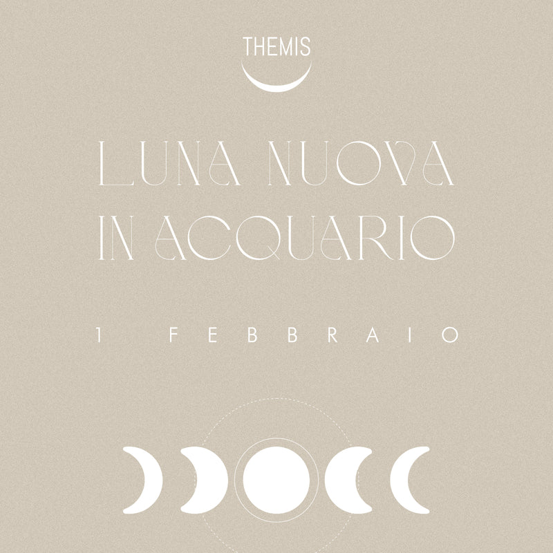 NEW MOON in AQUARIUS