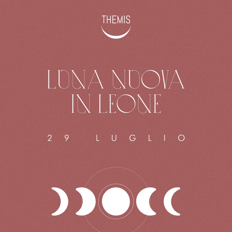 NEW MOON in LEO