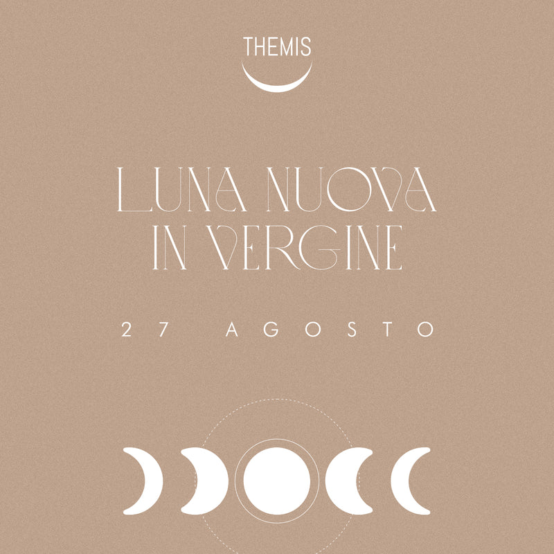 NEW MOON in VIRGO