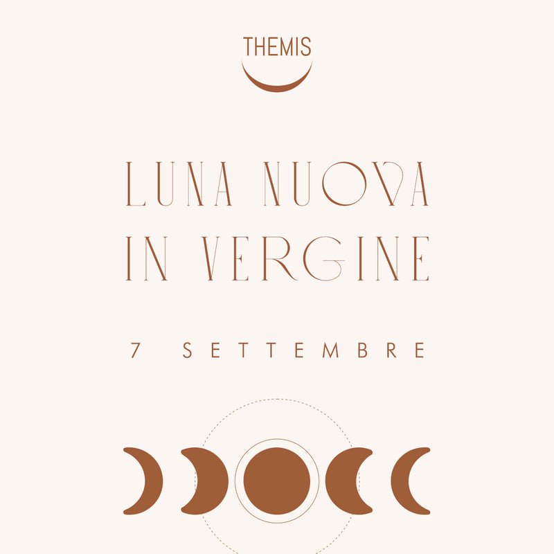 NEW MOON in VIRGO